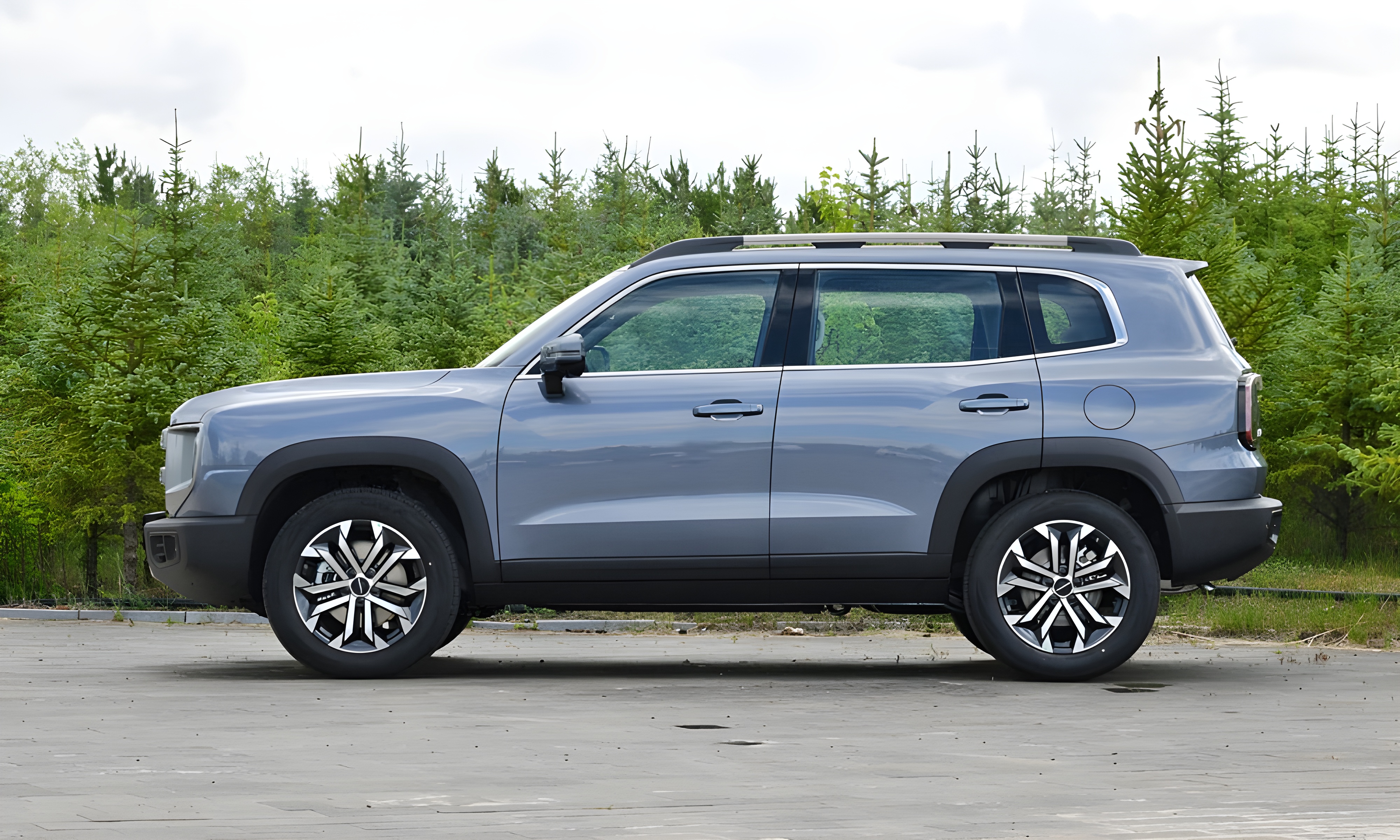 Dargo в Краснодаре - фото №3