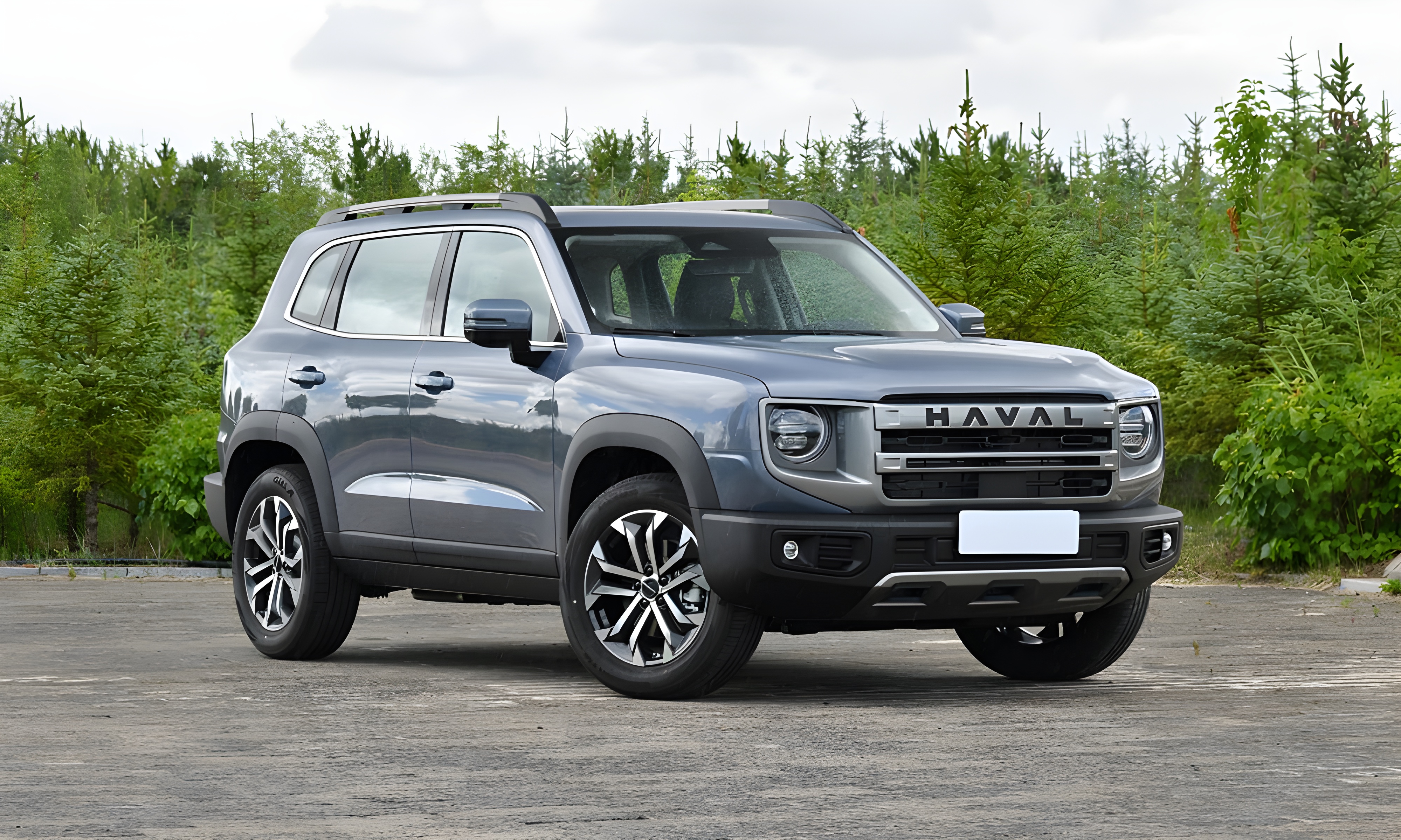 Dargo в Краснодаре - фото №1