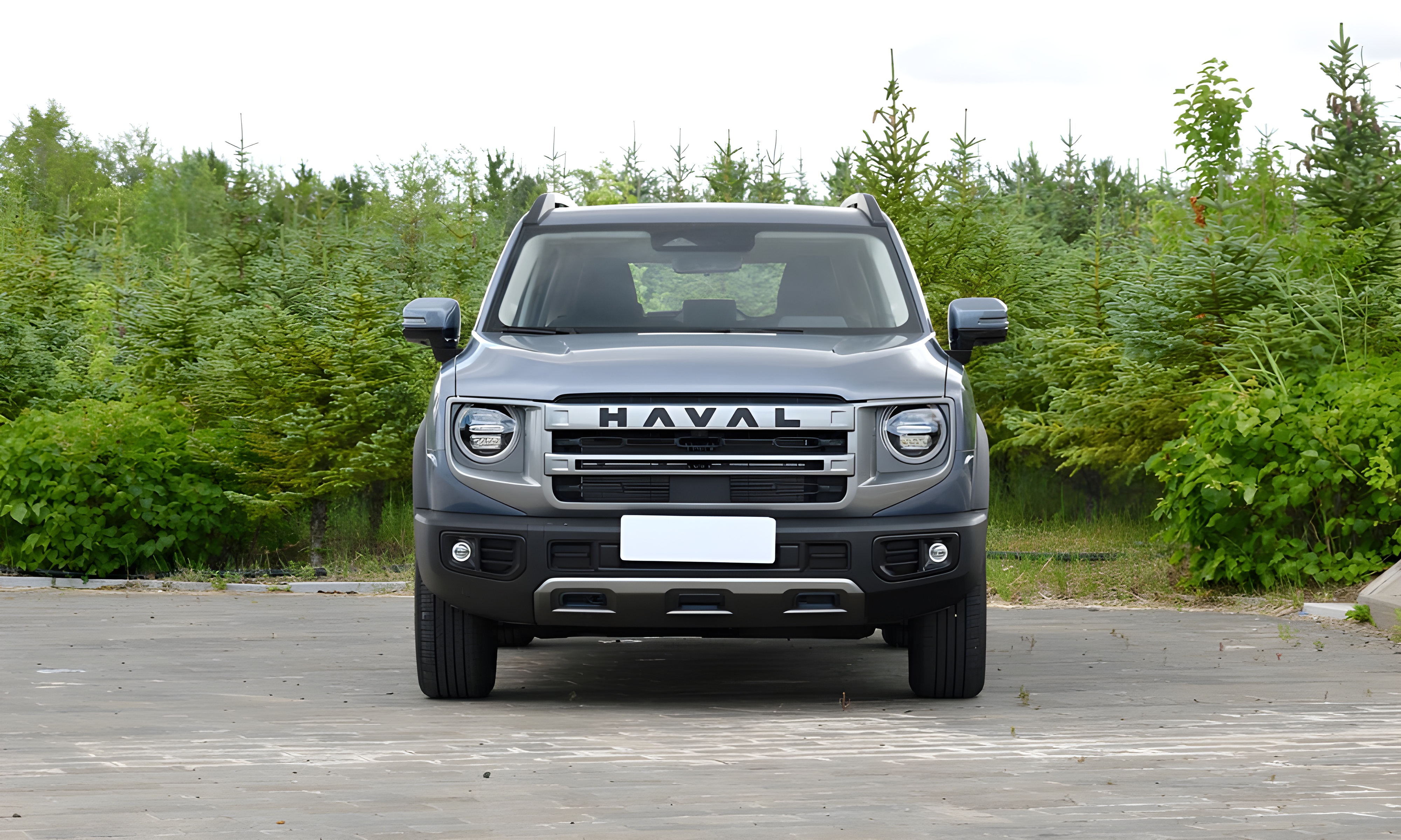 Dargo в Краснодаре - фото №4