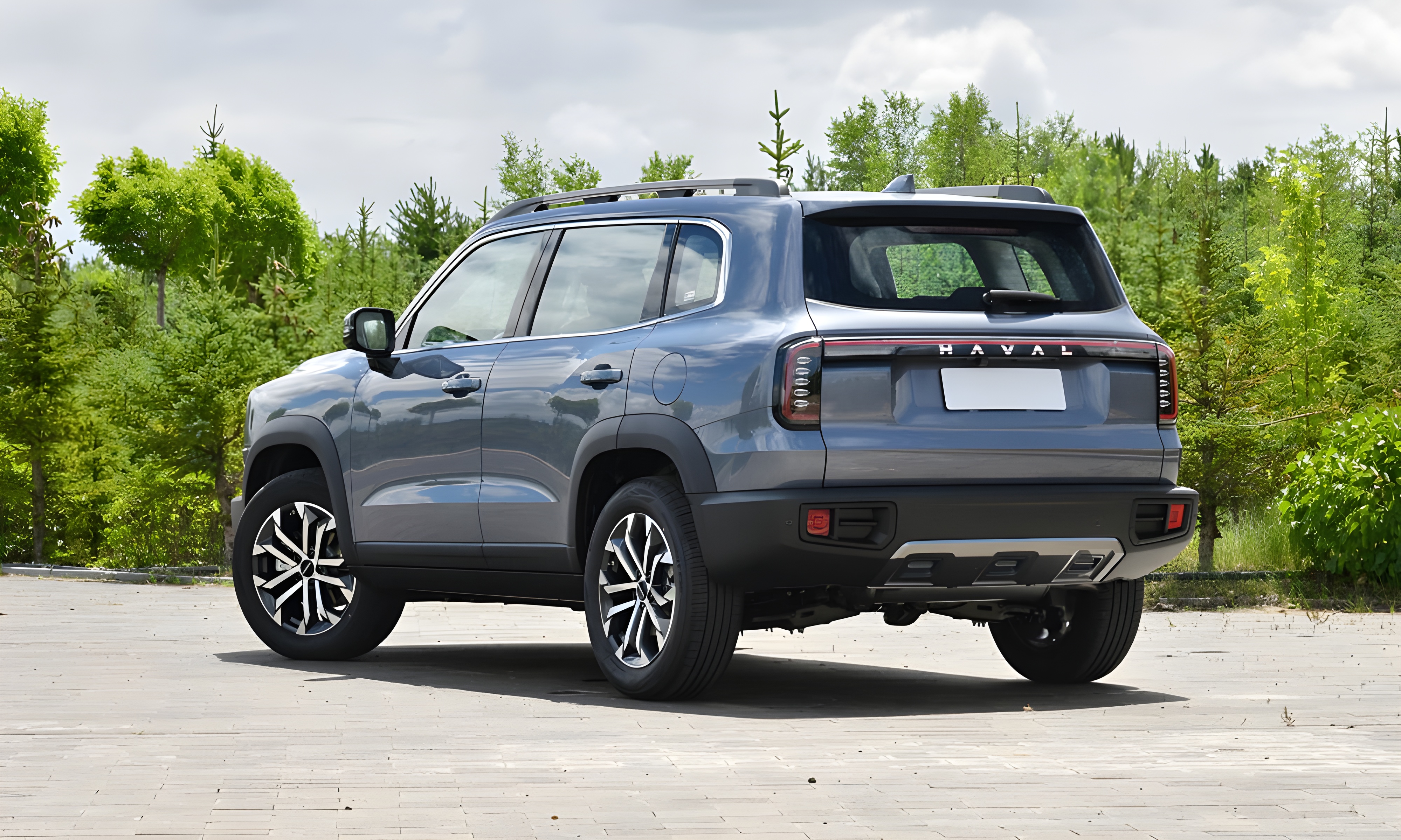 Dargo в Краснодаре - фото №2