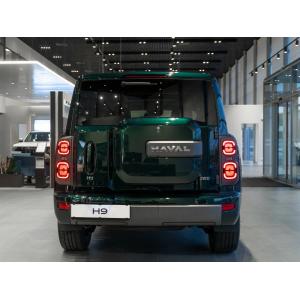 Миниатюра 6