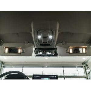 Миниатюра 28